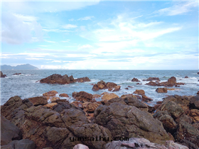 公(gōng)司活動(dòng)5