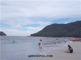 公(gōng)司活動(dòng)7